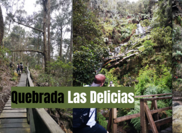 Aviso dice "Quebrada Las delicias". Al fondo: un puente y vegetación